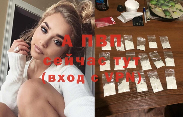 индика Дмитров