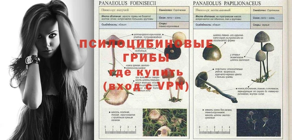 эйфоретик Янаул