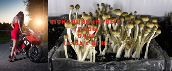 каннабис Пестово