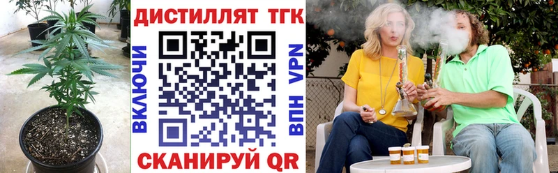 продажа наркотиков  Куровское  ТГК гашишное масло 